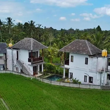Serendipity - Villa Kemuning